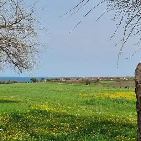 Bonaca